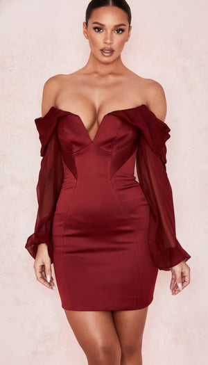 Robe Corset Bordeaux Manches Organza - Vue principale