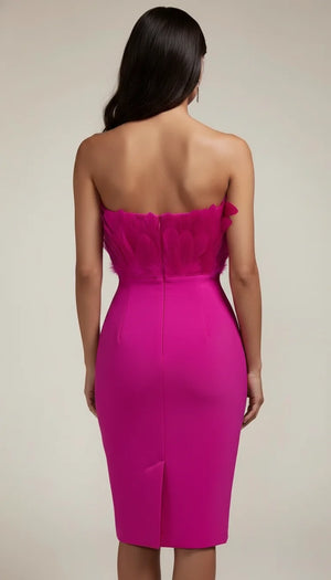 Robe Corset Bustier Plumes Fuchsia - Vue dos