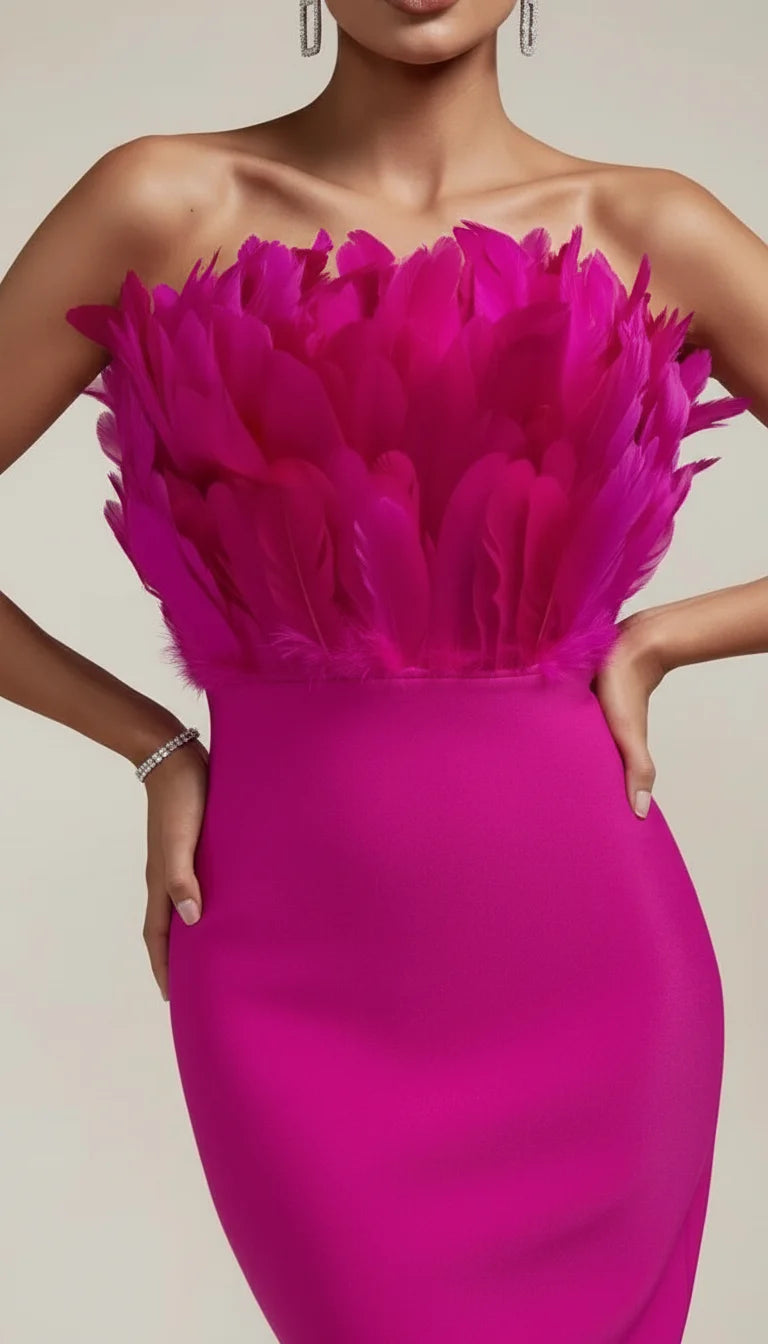 Robe Corset Bustier Plumes Fuchsia - Vue face