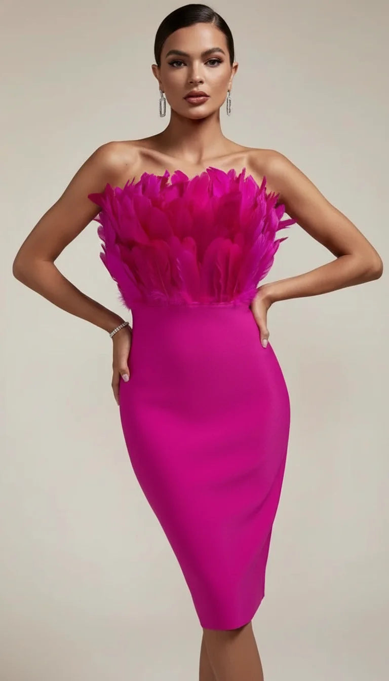 Robe Corset Bustier Plumes Fuchsia - Vue principale