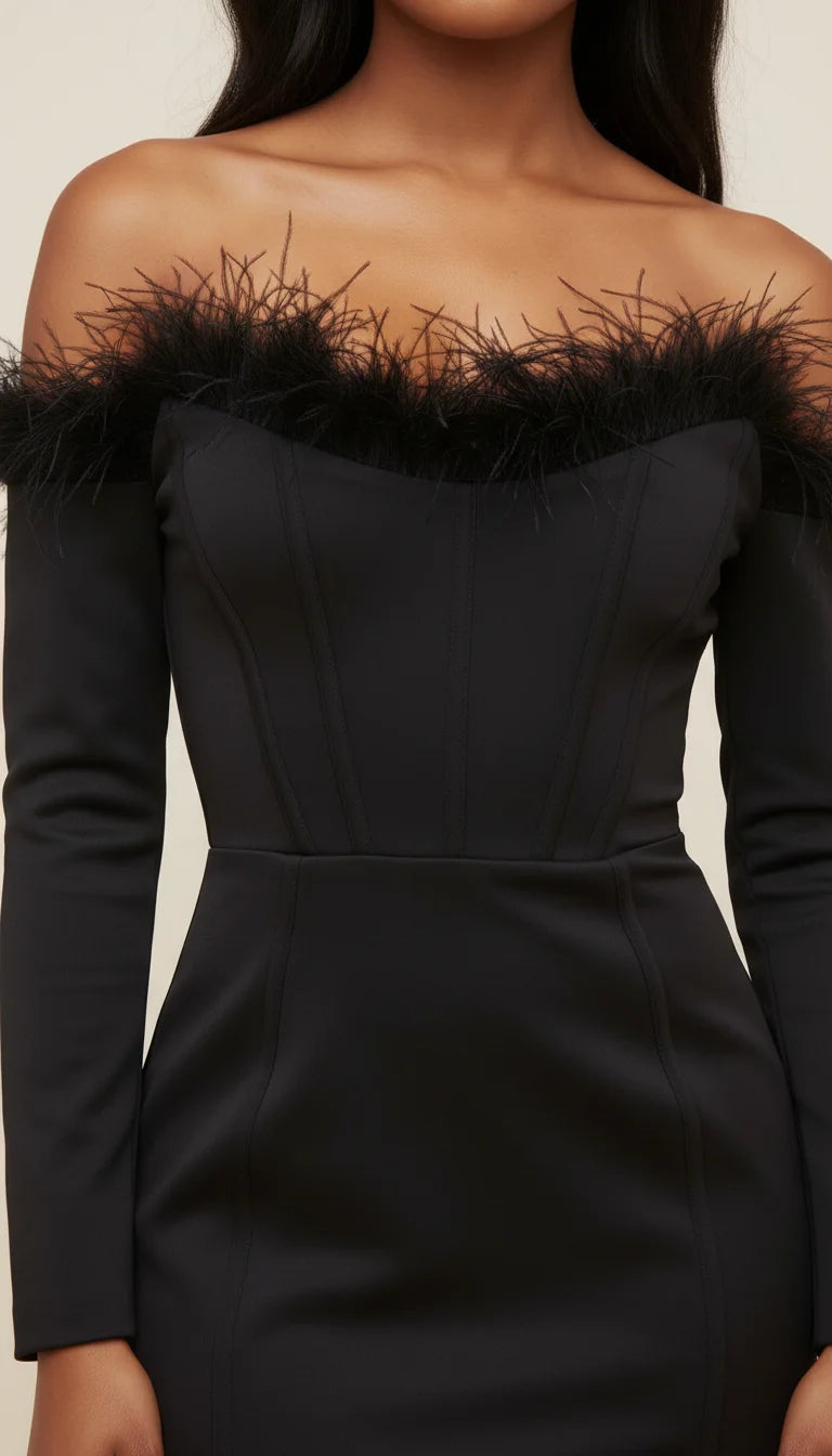 Robe Corset Plumes Noire Manches - Vue face