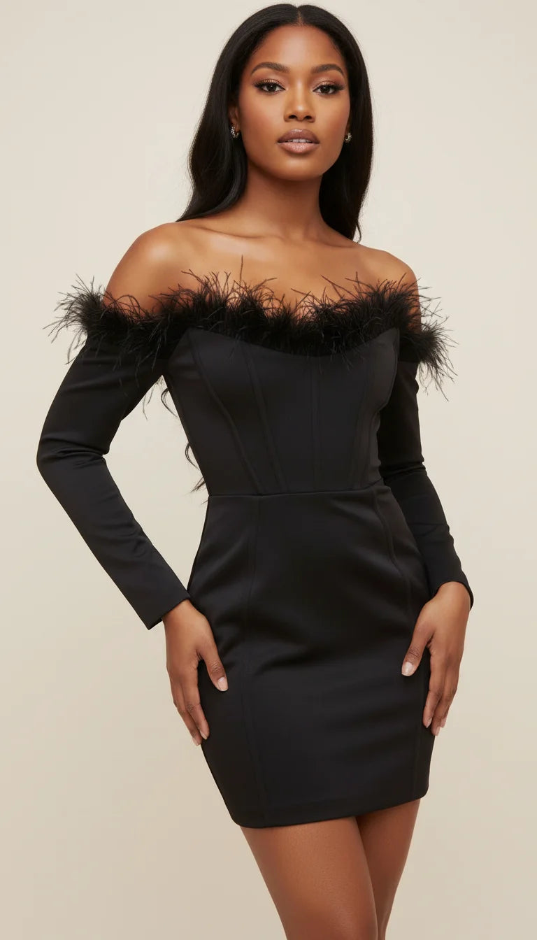 Robe Corset Plumes Noire Manches